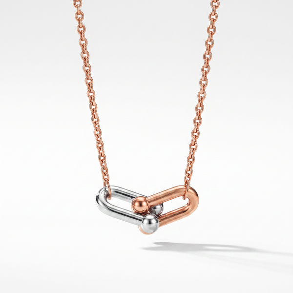 Small HardWear Two Tone Link Pendant Necklace